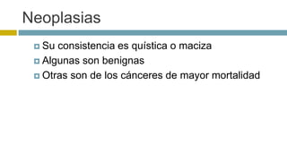 Neoplasias 
 Su consistencia es quística o maciza 
 Algunas son benignas 
 Otras son de los cánceres de mayor mortalidad 
 
