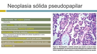 Neoplasia sólida pseudopapilar 
Es infrecuente; +en mujeres jóvenes 
•15-20 años 
Masas grandes bien delimitadas 
Tienen componentes macizos y quísitcos 
Zona quística: llenas de residuos hemorrágicos 
•Micro: crecimiento en láminas sólidas de células neoplásicas o como 
prolongaciones papilares 
Clínica: molestias abdominales por su gran tamaño 
Vía genética de B-catenina/Poliposa adenomatosa de colon 
Tx: resección qx 
 