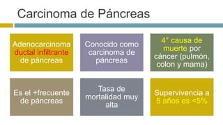 Carcinoma de Páncreas 
Adenocarcinoma 
ductal infiltrante 
de páncreas 
Conocido como 
carcinoma de 
páncreas 
4° causa de 
muerte por 
cáncer (pulmón, 
colon y mama) 
Es el +frecuente 
de páncreas 
Tasa de 
mortalidad muy 
alta 
Supervivencia a 
5 años es <5% 
 