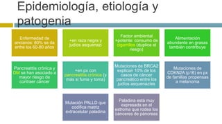 Epidemiología, etiología y 
patogenia 
Enfermedad de 
ancianos: 80% se da 
entre los 60-80 años 
+en raza negra y 
judíos asquenazi 
Factor ambiental 
+potente: consumo de 
cigarrillos (duplica el 
riesgo) 
Alimentación 
abundante en grasas 
también contribuye 
Pancreatitis crónica y 
DM se han asociado a 
mayor riesgo de 
contraer cáncer 
+en px con 
pancreatitis crónica (y 
más si fuma y toma) 
Mutaciones de BRCA2 
explican 10% de los 
casos de cáncer 
pancreático entre los 
judíos asquenazíes 
Mutaciones de 
CDKN2A (p16) en px 
de familias propensas 
a melanoma 
Mutación PALLD que 
codifica matriz 
extracelular paladina 
Paladina está muy 
expresada en el 
estroma que rodea los 
cánceres de páncreas 
 