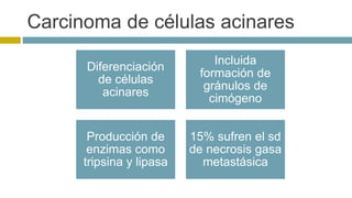 Carcinoma de células acinares 
Diferenciación 
de células 
acinares 
Incluida 
formación de 
gránulos de 
cimógeno 
Producción de 
enzimas como 
tripsina y lipasa 
15% sufren el sd 
de necrosis gasa 
metastásica 
 