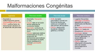 Malformaciones Congénitas 
Agenesia 
• Asociada a 
malformaciones graves 
incompatibles con la vida 
• PDX1 codifica factor de 
transcripción decisivo en 
el desarrollo del páncreas 
Páncreas dividido 
• Anomalía +frecuente 
• 3-10% 
• Causa: fallo en la fusión 
de los sistemas de 
conductos fetales 
• Anomalía: conducto de 
Wirsung es muy corto (1- 
2cm) 
• Clínica: estenosis relativa 
ocasionada por la gran 
proporción de 
secreciones pancreáticas 
que atraviesan la papila 
menor predispone a 
contraer pancreatitis 
crónica 
Páncreas anular 
• Anillo de tejido 
pancreático normal con 
forma de banda que 
rodea por completo la 
2da porción del duodeno 
• Clínica: obstrucción 
duodenal, dilatación 
gástrica y vómitos 
Páncreas ectópico 
• Lugares frecuentes: 
estómago y duodeno, 
seguidos por yeyuno, 
divertículos de Meckel y 
el íleon 
• Son restos embriorarios 
• Miden mm hasta cm 
• Situados en submucosa 
• Histología: ácinos 
pancreáticos de aspecto 
normal, glándulas y a 
veces islotes de 
Langerhans. 
• Clínica: dolor por 
inflamación circunscrita, 
rara vez causan 
hemorragia de la 
mucosa. 
 