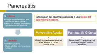 Pancreatitis 
Inflamación del páncreas asociada a una lesión del 
parénquima exocrino. 
Pancreatitis Aguda 
Glándula puede normalizarse 
si se elimina la causa 
subyacente 
Pancreatitis Crónica 
Desaparición irreversible del 
parénquima pancreático 
exocrino 
Su clínica 
• Desde una enfermedad leve 
que remite espontánea 
• Hasta un proceso inflamatorio 
agudo mortal en potencia. 
Su duración 
• Desde transitorio 
• Hasta pérdida permanente de 
función 
 