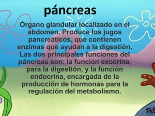 páncreas
Órgano glandular localizado en el
abdomen. Produce los jugos
pancreáticos, que contienen
enzimas que ayudan a la digestión,
Las dos principales funciones del
páncreas son: la función exocrina,
para la digestión, y la función
endocrina, encargada de la
producción de hormonas para la
regulación del metabolismo.
 
