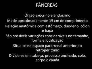 PÂNCREAS
           Órgão exócrino e endócrino
 Mede aproximadamente 15 cm de comprimento
Relação anatômica com estômago, duodeno, cólon
                       e baço
São possíveis variações consideráveis no tamanho,
                forma e localização
    Situa-se no espaço pararrenal anterior do
                   retroperitônio
  Divide-se em cabeça, processo uncinado, colo,
                   corpo e cauda
 