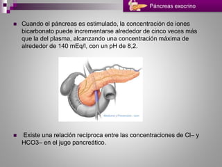  Cuando el páncreas es estimulado, la concentración de iones
bicarbonato puede incrementarse alrededor de cinco veces más
que la del plasma, alcanzando una concentración máxima de
alrededor de 140 mEq/l, con un pH de 8,2.
 Existe una relación recíproca entre las concentraciones de Cl– y
HCO3– en el jugo pancreático.
Páncreas exocrino
 
