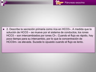  2. Describe la secreción primaria como rica en HCO3–. A medida que la
solución de HCO3 – se mueve por el sistema de conductos, los iones
HCO3 – son intercambiados por iones Cl–. Cuando el flujo es rápido, hay
poco tiempo para su intercambio, por lo que la concentración de
HCO3m– es elevada. Sucede lo opuesto cuando el flujo es lento.
Páncreas exocrino
 