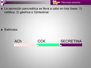  La secreción pancreática se lleva a cabo en tres fases: 1)
cefálica, 2) gástrica e 3)intestinal.
 Estimulos
Páncreas exocrino
ACh CCK SECRETINA
 
