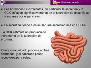  Las hormonas GI circulantes, en particular la secretina y la
CCK, influyen significativamente en la secreción de electrólitos
y enzimas por el páncreas.
 La secretina tiende a estimular una secreción rica en HCO3–.
Páncreas exocrino
La CCK estimula un pronunciado
incremento en la secreción de
enzimas.
El intestino delgado produce ambas
hormonas, y el páncreas posee
receptores para éstas.
 