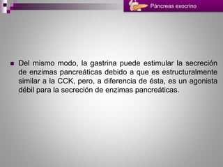  Del mismo modo, la gastrina puede estimular la secreción
de enzimas pancreáticas debido a que es estructuralmente
similar a la CCK, pero, a diferencia de ésta, es un agonista
débil para la secreción de enzimas pancreáticas.
Páncreas exocrino
 