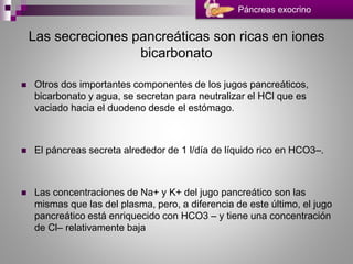 Páncreas exocrino
Las secreciones pancreáticas son ricas en iones
bicarbonato
 Otros dos importantes componentes de los jugos pancreáticos,
bicarbonato y agua, se secretan para neutralizar el HCl que es
vaciado hacia el duodeno desde el estómago.
 El páncreas secreta alrededor de 1 l/día de líquido rico en HCO3–.
 Las concentraciones de Na+ y K+ del jugo pancreático son las
mismas que las del plasma, pero, a diferencia de este último, el jugo
pancreático está enriquecido con HCO3 – y tiene una concentración
de Cl– relativamente baja
 