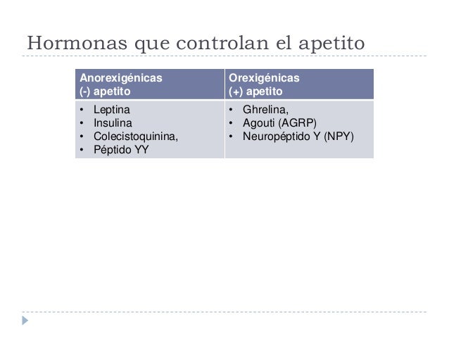 Páncreas Fisisología Páncreas Fisisología