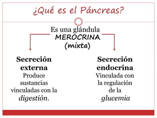 Páncreas y glándulas suprarrenales power | PPTX