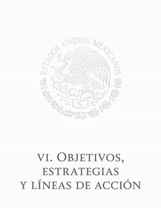 101
vi. Objetivos,
estrategias
y líneas de acción
 