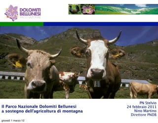 PN Stelvio
Il Parco Nazionale Dolomiti Bellunesi     24 febbraio 2011
a sostegno dell’agricoltura di montagna       Nino Martino
                                            Direttore PNDB
giovedì 1 marzo 12
 