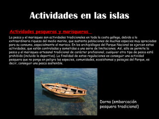Actividades en las islas Actividades pesqueras y marisqueras  Dorna (embarcación pesquera tradicional) La pesca y el marisqueo son actividades tradicionales en toda la costa gallega, debido a la extraordinaria riqueza del medio marino, que sustenta poblaciones de muchas especies muy apreciadas para su consumo, especialmente el marisco. En los archipiélagos del Parque Nacional se ejercen estas actividades, que están controladas y sometidas a una serie de limitaciones. Así, sólo se permite la pesca y el marisqueo artesanal tradicional de carácter profesional, cualquier otro tipo de pesca está prohibido (incluido la deportiva). La finalidad de estas regulaciones es conseguir una actividad pesquera que no ponga en peligro las especies, comunidades, ecosistemas y paisajes del Parque, es decir, conseguir una pesca sostenible.   