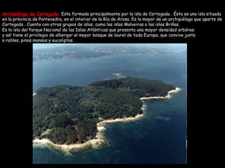 Archipiélago de Cortegada:  Esta formado principalmente por la isla de Cortegada . Ésta es una isla situada en la provincia de Pontevedra, en el interior de la Ría de Arosa. Es la mayor de un archipiélago que aparte de Cortegada . Cuenta con otros grupos de islas, como las islas Malveiras o las islas Briñas.  Es la isla del Parque Nacional de las Islas Atlánticas que presenta una mayor densidad arbórea y así tiene el privilegio de albergar al mayor bosque de laurel de toda Europa, que convive junto a robles, pinos mansos y eucaliptos.  