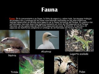Fauna Fauna:  En lo concerniente a su fauna, la falta de espacio y, sobre todo, los escasos trabajos de prospección y catalogación de fauna invertebrada realizados en las islas atlánticas, impiden desarrollar en detalle este aspecto de la fauna terrestre del Parque. En cuanto a los vertebrados, han sido descritas hasta el momento un total de 150 especies en el Parque Nacional, de las cuáles más del 80% (124 especies) son aves. 5 anfibios, 9 reptiles y 12 especies de mamíferos completan el catálogo de vertebrados del Parque Nacional. Nutria Alcatraz Lagarto ocelado Tritón Pulpo 