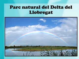 Parc natural del Delta del
Llobregat

 
