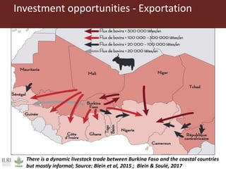 Investment opportunities in livestock sector in Burkina Faso