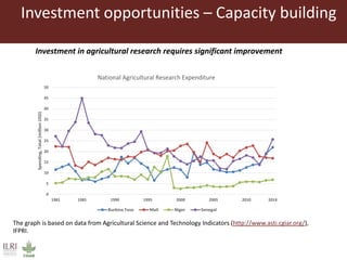 Investment opportunities in livestock sector in Burkina Faso