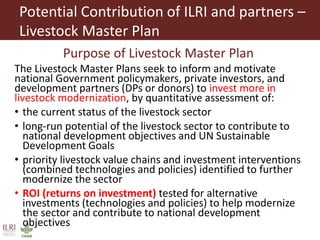 Investment opportunities in livestock sector in Burkina Faso