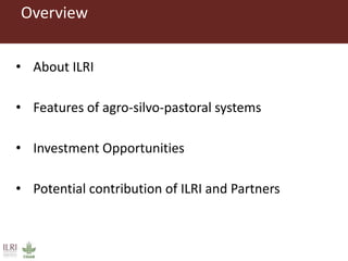 Investment opportunities in livestock sector in Burkina Faso