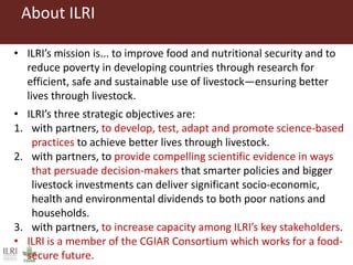 Investment opportunities in livestock sector in Burkina Faso
