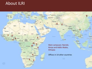Investment opportunities in livestock sector in Burkina Faso