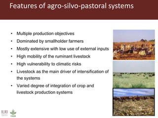 Investment opportunities in livestock sector in Burkina Faso
