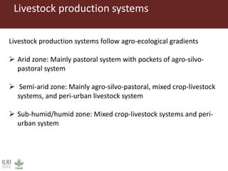 Investment opportunities in livestock sector in Burkina Faso