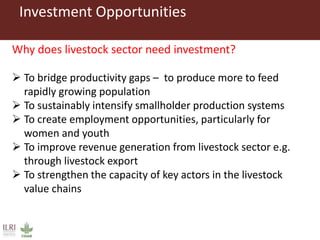 Investment opportunities in livestock sector in Burkina Faso