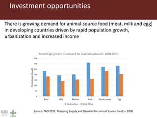 Investment opportunities in livestock sector in Burkina Faso
