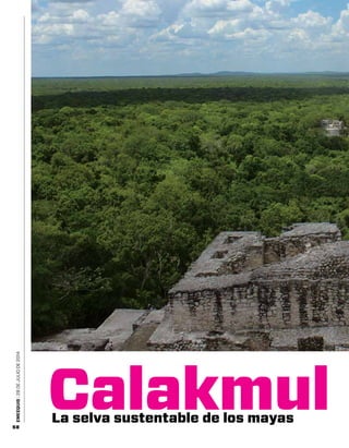 EMEEQUIS | 28 DE JULIO de 2014 58 Calakmul La selva sustentable de los mayas 
 