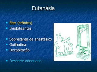 Eutanásia Éter (crônico) Imobilizantes Sobrecarga de anestésico Guilhotina Decapitação Descarte adequado 