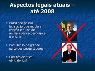Aspectos legais atuais – até 2008 Brasil não possui legislação que regule a criação e o uso de animais para a pesquisa e o ensino  Bom-senso de grande parte dos pesquisadores Comitês de ética – obrigatórios! 