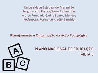 PLANO NACIONAL DE EDUCAÇÃO
META 5
 