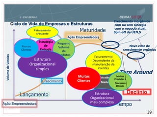 39
Ciclo de Vida de Empresas e Estruturas
Tempo
Lançamento
Crescimento
Maturidade
Declínio
VolumedeVendas
Ação Empreendedora
Novo ciclo de
crescimento orgânico
Crescimento inorgânico
com ou sem sinergia
com o negocio atual.
Spin-off de UEN,S
Turn Around
Ação Empreendedora
Estratégia
de
Entrada
Faturamento
crescente
Pequeno
Volume
de
produtos
Estrutura
Organizacional
simples
Poucos
Clientes
Estratégia
Madura
Faturamento
Dependente da
manutenção de
clientes
Muitos
Produtos /
Processos
Difusos
Estrutura
Organizacional
mais complexa
Muitos
Clientes
 
