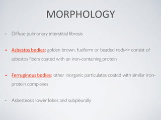 Fuiform Rods pnemoconiosis.pdf