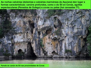 As rochas calcárias (dolomías e calcárias marmóreas da Aquiana) dan lugar a
formas características: canóns profundos, como o do Sil en Covas, agullas
espectaculares (Penedos de Oulego) e covas ou palas (hai censadas 77).
Parede do canón do Sil nas proximidades de Covas
 