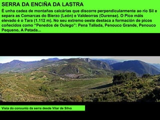 SERRA DA ENCIÑA DA LASTRA
É unha cadea de montañas calcárias que discorre perpendicularmente ao río Sil e
separa as Comarcas do Bierzo (León) e Valdeorras (Ourense). O Pico máis
elevado é o Tara (1.112 m). No seu extremo oeste destaca a formación de picos
coñecidos como “Penedos de Oulego”: Pena Tallada, Penouco Grande, Penouco
Pequeno, A Petada...
Vista do conxunto da serra desde Vilar de Silva
 