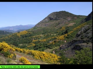 Tara, o cume máis alto da serra (cara leste)
 