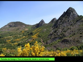 Penedos de Oulego e Tara (á esquerda), desde a vertente leste.
 