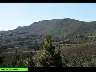 Tara, na cara oeste
 