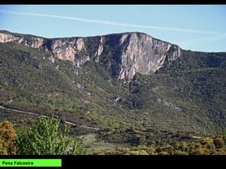 Pena Falcoeira
 