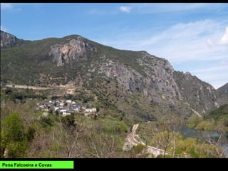 Pena Falcoeira e Covas
 
