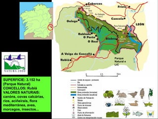 SUPERFICIE: 3.152 ha
(Parque Natural)
CONCELLOS: Rubiá
VALORES NATURAIS:
canóns, covas calcárias,
ríos, aciñeirais, flora
mediterránea, aves,
morcegos, insectos...
Parque
Natural e
LIC
 