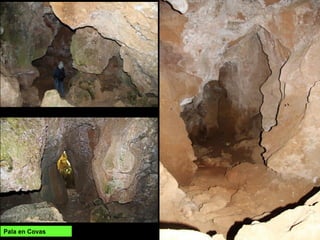 Pala en Covas
 