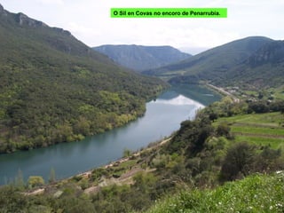 O Sil en Covas no encoro de Penarrubia.
 