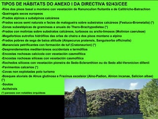 TIPOS DE HÁBITATS DO ANEXO I DA DIRECTIVA 92/43/CEE
-Ríos dos pisos basal a montano con vexetación de Ranunculion fluitantis e de Callitricho-Batrachion
-Queirogais secos europeos
-Prados alpinos e subalpinos calcáreos
-Prados secos semi naturais e facies de matogueira sobre substratos calcáreos (Festuco-Brometalia) (*)
-Zonas subestépicas de gramíneas e anuais do Thero-Brachypodietea (*)
-Prados con molinias sobre substratos calcáreos, turbosos ou arxilo-limosos (Molinion caeruleae)
-Megaforbios eutrofos hidrófilos das orlas de chaira e dos pisos montano a alpino
-Prados pobres de sega de baixa altitude (Alopecurus pratensis, Sanguisorba officinalis)
-Mananciais petrificantes con formación de tuf (Cratoneurion) (*)
-Desprendementos mediterráneos occidentais e termófilos
-Encostas rochosas calcícola con vexetación casmofítica
-Encostas rochosas silíceas con vexetación casmofítica
-Rochedos silíceos con vexetación pioneira do Sedo-Scleranthion ou do Sedo albi-Veronicion dillenii
-Pavimentos calcarios (*)
-Covas non explotadas polo turismo
-Bosques aluviais de Alnus glutinosa e Fraxinus excelsior (Alno-Padion, Alnion incanae, Salicion albae)
(*)
-Soutos
-Aciñeirais
(*) paraxes con notables orquídeas
 